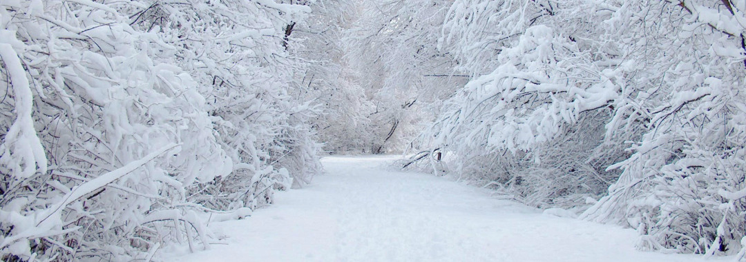 snowplowing, snow stacking, snow removal.