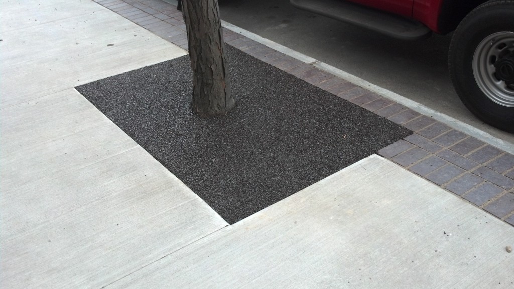 FlexiPave tree surround in Rochester, NY Environmental Paving