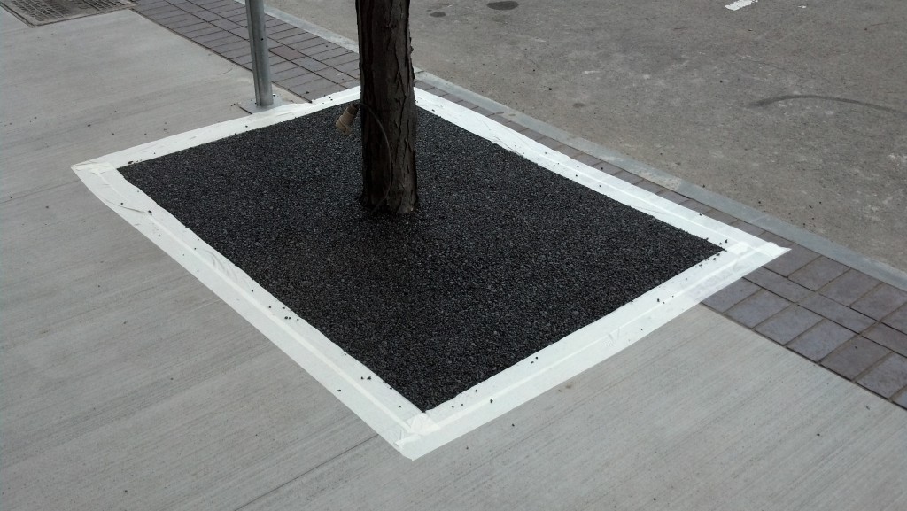 FlexiPave tree surround in Rochester, NY Environmental Paving