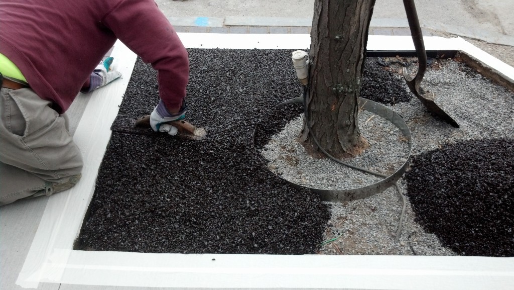 FlexiPave tree surround in Rochester, NY Environmental Paving