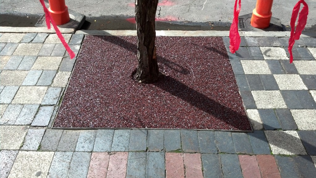 FlexiPave tree surround in Syracuse, NY Environmental Paving
