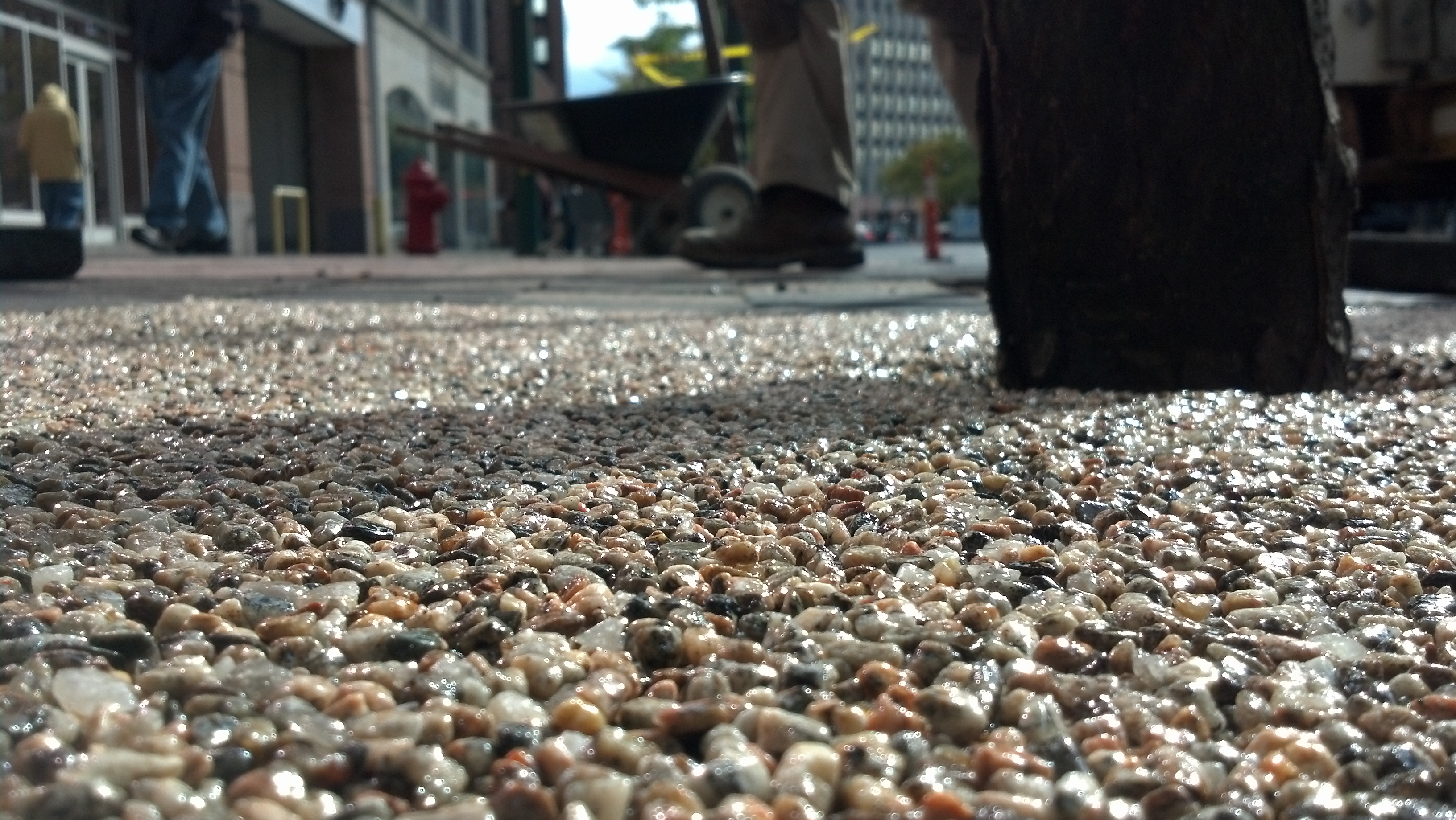 Flexible Porous Pavement tree surround